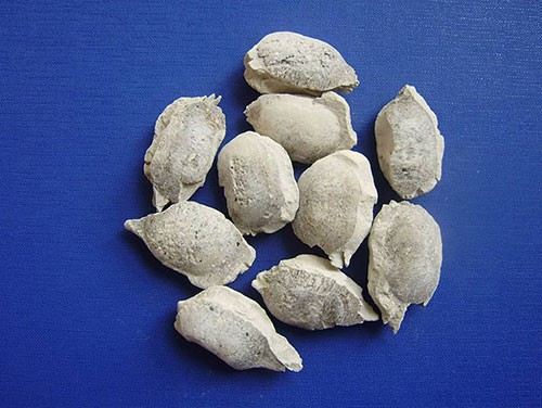 �X�}��(f��)�Ͼ�����